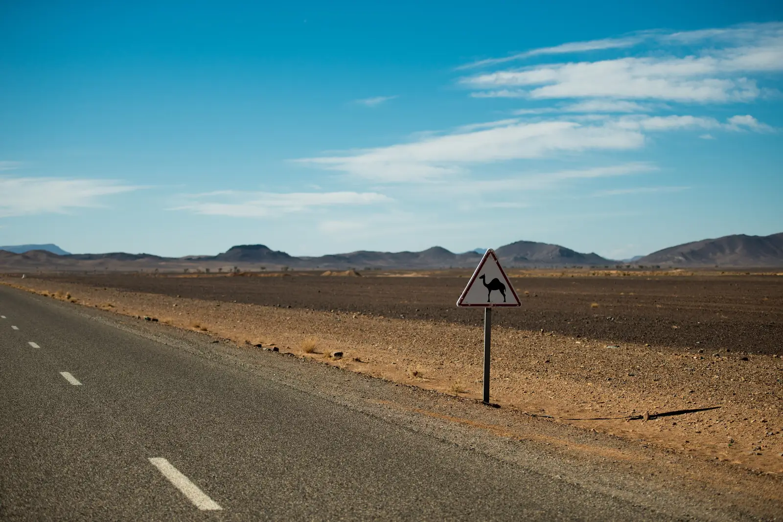 Straight desert road near Sijilmassa in Errachidia province with a camel-crossing sign