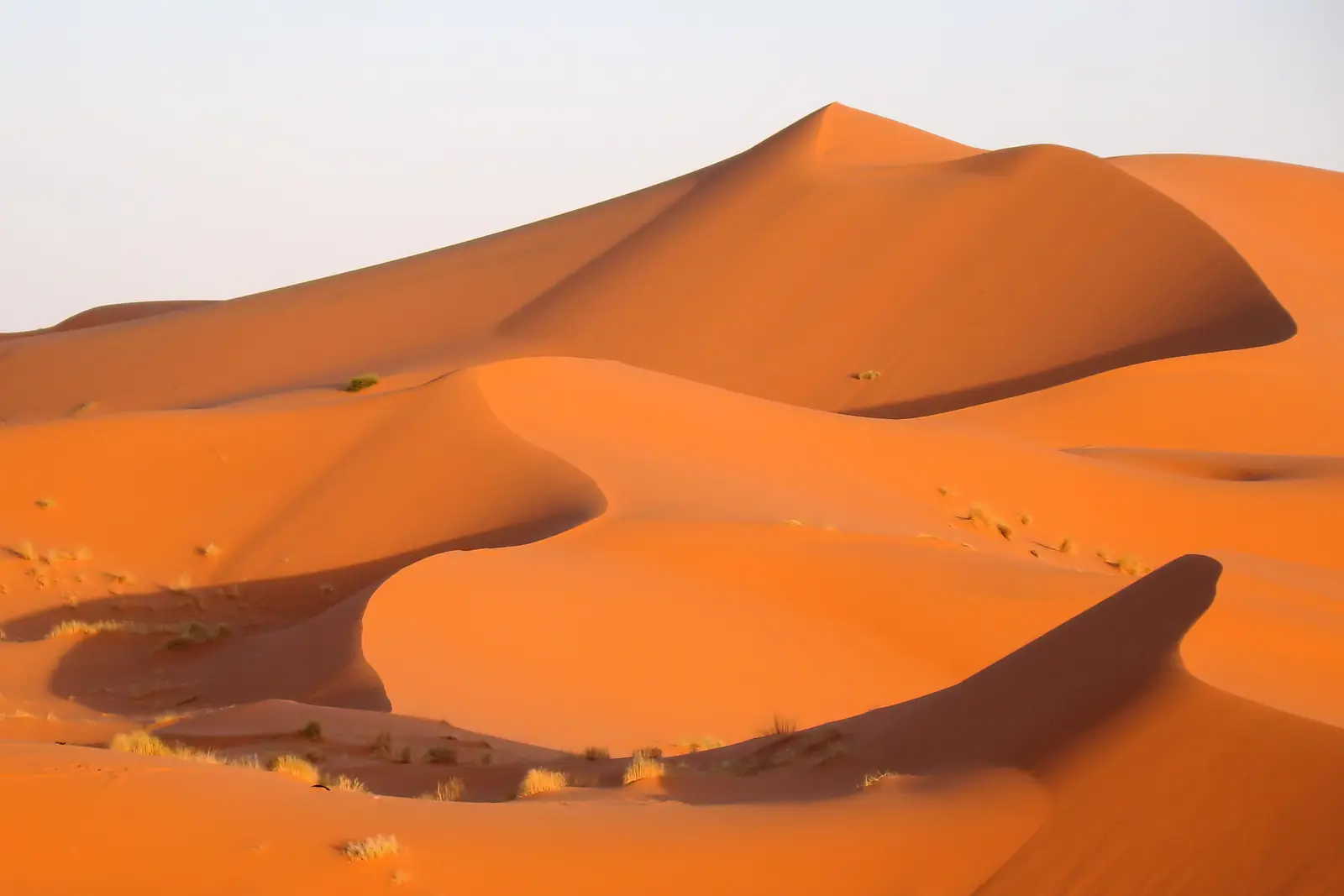 Orange sand dunes of Erg Chebbi near Merzouga under a blue sky