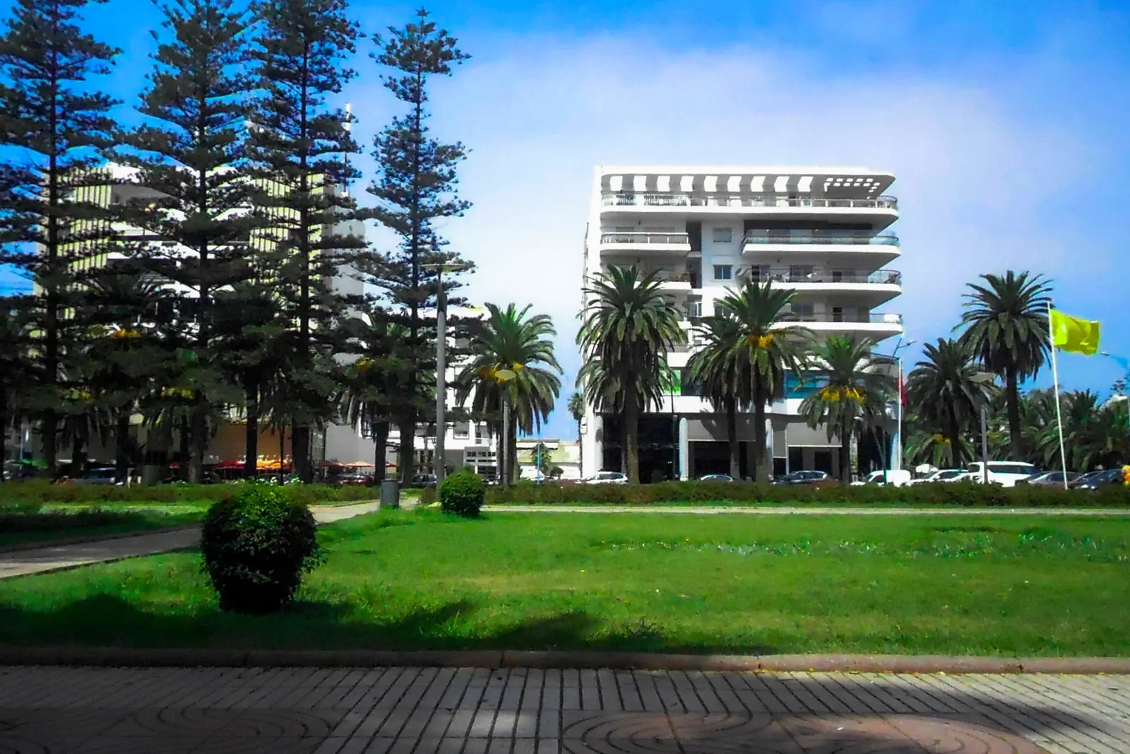 City park in Mohammedia with lawns, pines and palm trees