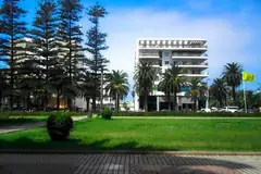 City park in Mohammedia with lawns, pines and palm trees